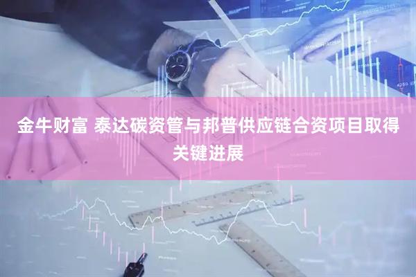 金牛财富 泰达碳资管与邦普供应链合资项目取得关键进展