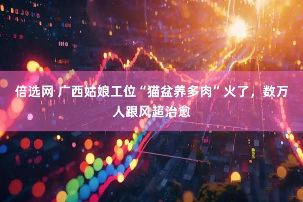 倍选网 广西姑娘工位“猫盆养多肉”火了，数万人跟风超治愈