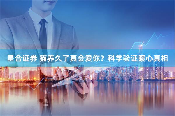 星合证券 猫养久了真会爱你？科学验证暖心真相
