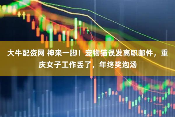 大牛配资网 神来一脚！宠物猫误发离职邮件，重庆女子工作丢了，年终奖泡汤