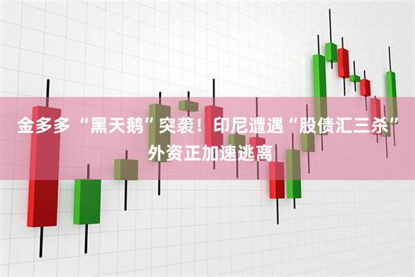 金多多 “黑天鹅”突袭！印尼遭遇“股债汇三杀” 外资正加速逃离
