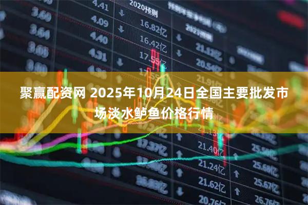 聚赢配资网 2025年10月24日全国主要批发市场淡水鲈鱼价格行情