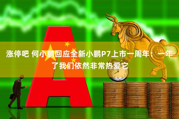 涨停吧 何小鹏回应全新小鹏P7上市一周年：一年了我们依然非常热爱它